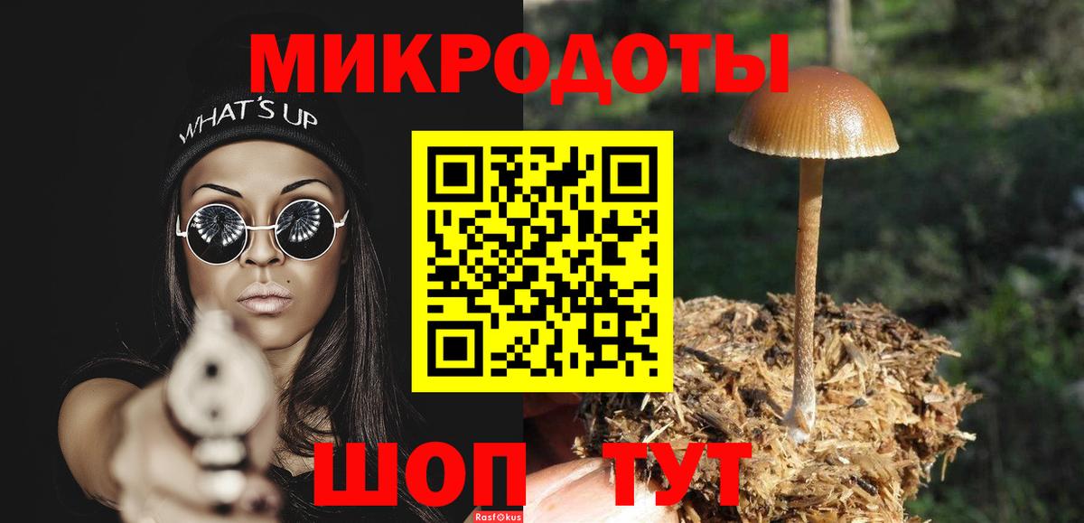 Псилоцибиновые грибы MAGIC MUSHROOMS  Вход с VPN  Волхов  Галлюциногенные грибы Psilocybine cubensis 